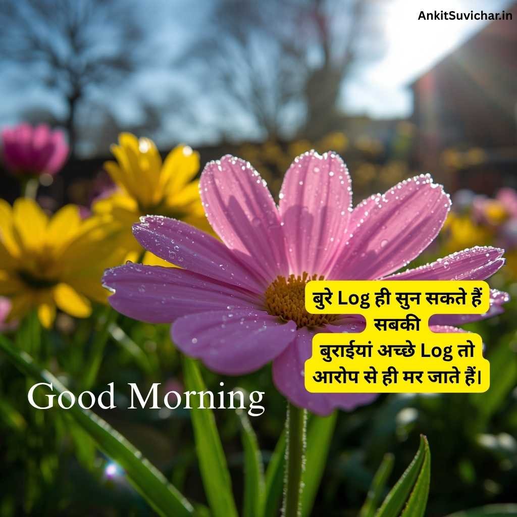 गुड मॉर्निंग सुविचार इमेज